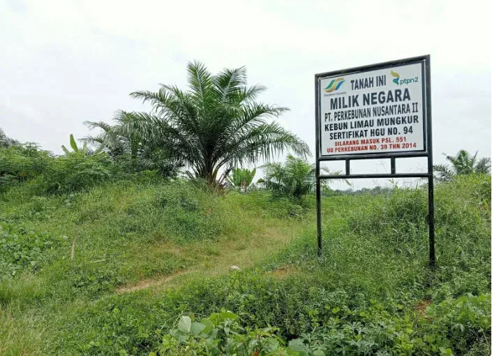 Pemerintah Bagi-Bagi Tanah Negara untuk Satu Juta Warga, Apa Saja Kriteria Penerima?