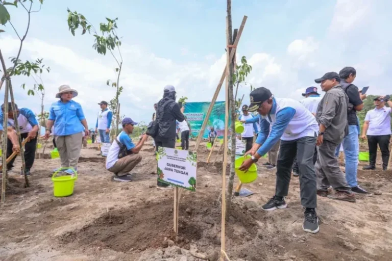 Pemulihan Ekosistem Taman Nasional Gunung Merapi, Delegasi 31 Provinsi Ikut Tanam Bibit Pohon